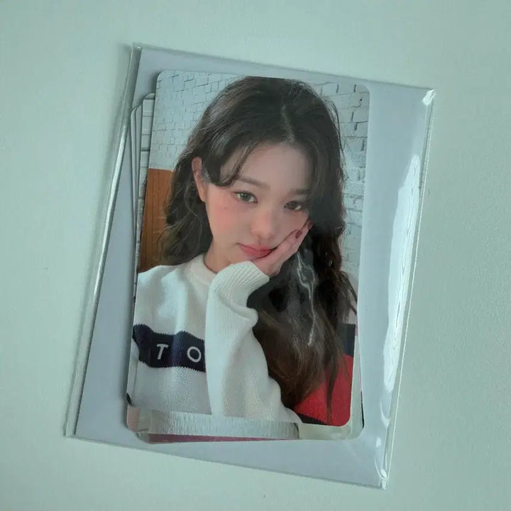 아이브 장원영 타미진스 Tommy jeans 포토카드 포카 4장 일괄