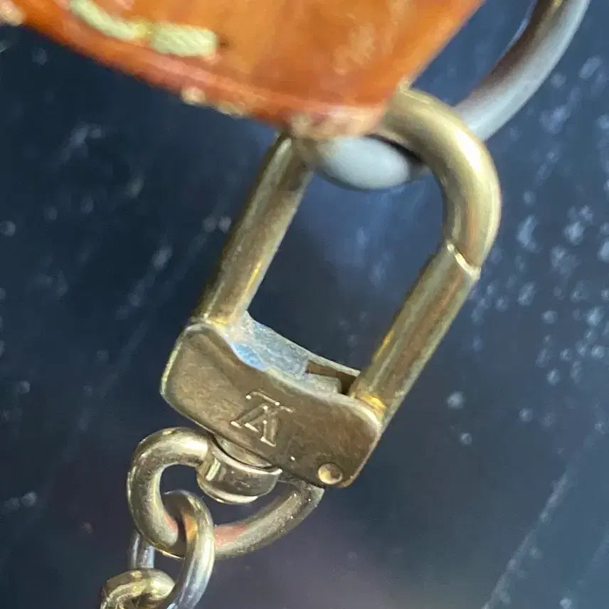 [BUNJANG] Louis Vuitton Pochette Accessories / 루이비통 포쉐트 악세수아