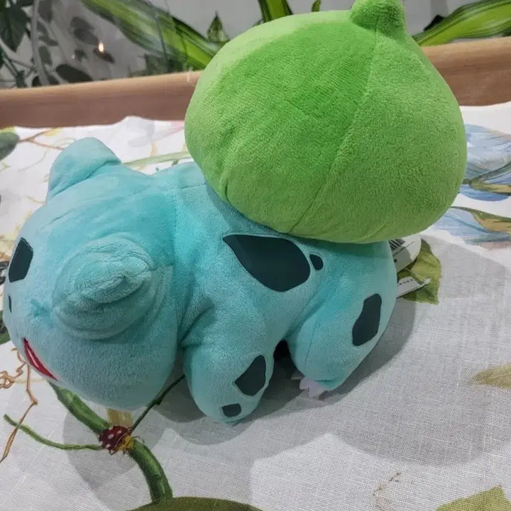 [BUNJANG] Pokemon Pikachu & Bulbasaur Plush Set / 포켓몬스터 피카츄/이상해씨 인형 세트