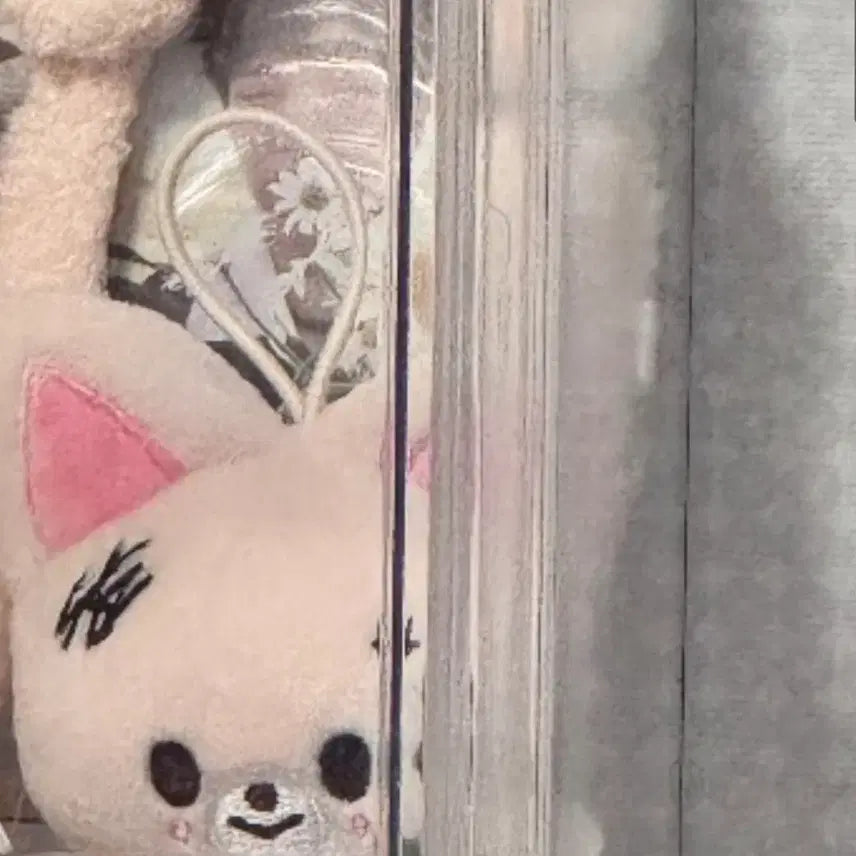 스트레이키즈 카르마 팝업 스키주 네임텍 폭시니