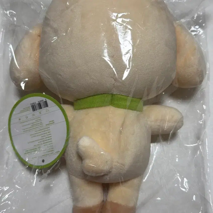 아이브 미니브 오리지널 플래시 강안지