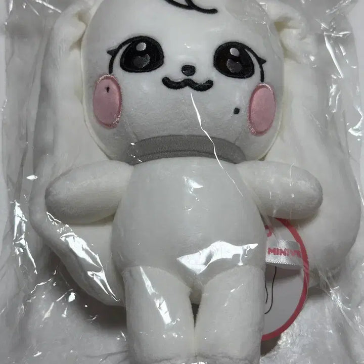 아이브 미니브 오리지널 플래시 체리