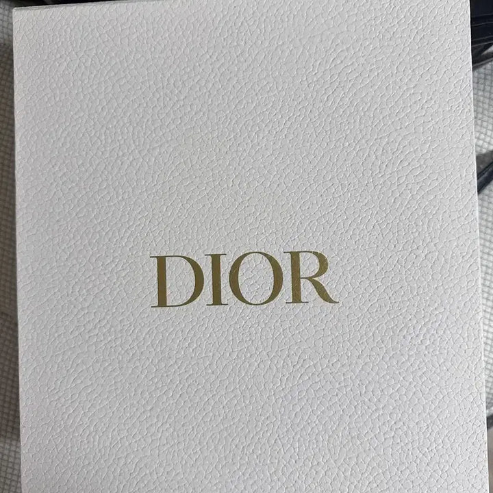 [BUNJANG] Dior Top Handle Mini Bag Black / 마이디올 탑핸들 미니백 블랙