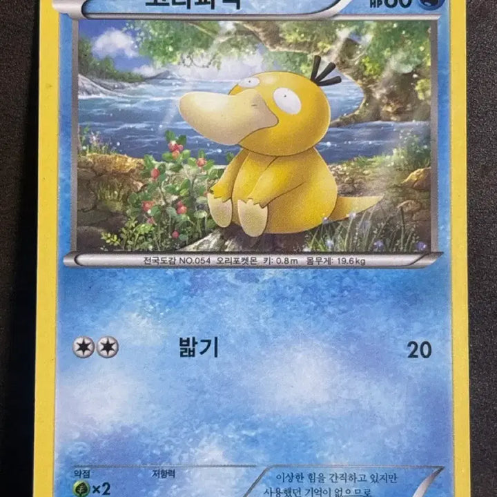 [SOLD OUT] xy 고전 포켓몬 카드 고라파덕