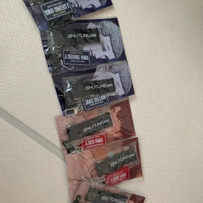 [BUNJANG] Keyring / 셔트라인 키링