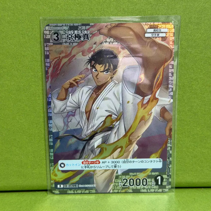 [BUNJANG] Detective Conan Makoto R Trading Card / 명탐정 코난 카드 게임 CT-P02 마코토 R 0209