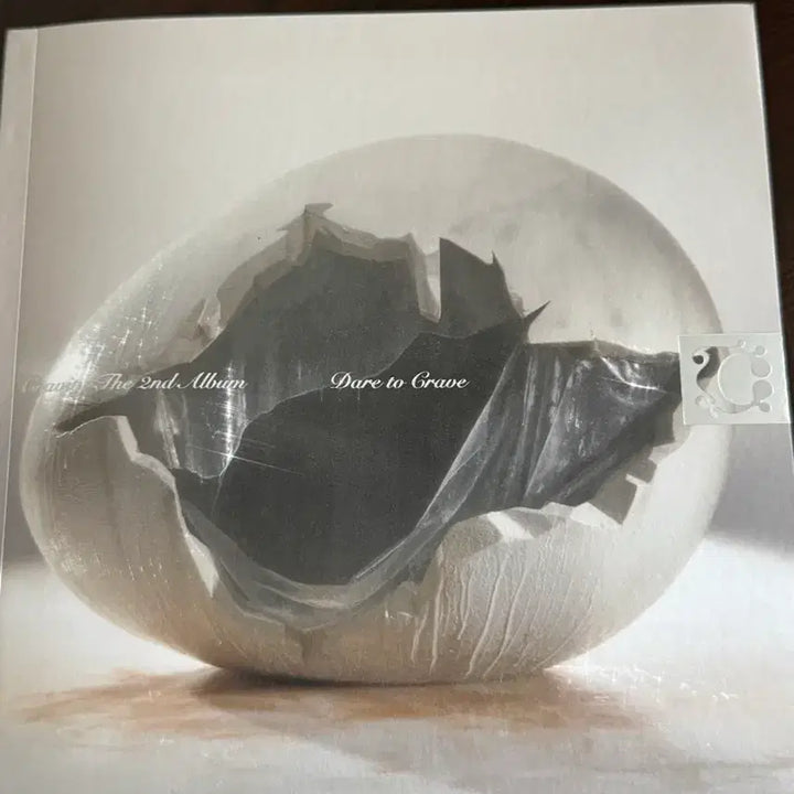 [BUNJANG] Cravity Dare to Crave Album Bundle Set / 크래비티 Dare to Crave 앨범 일괄