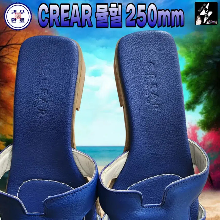 [BUNJANG] Item Room CREAR Mule Heels 3cm - 250mm / [아이템룸]CREAR 뮬힐/굽3cm/250mm/가격내림