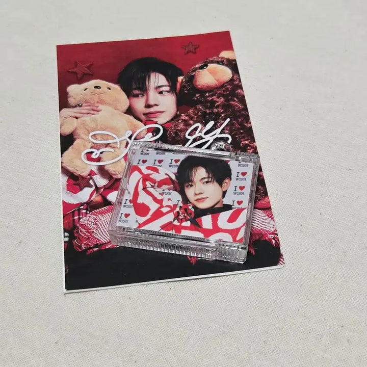 [BUNJANG] Sumin Yusi Photocard / steady(스테디) 슴미니 스미니 유우시