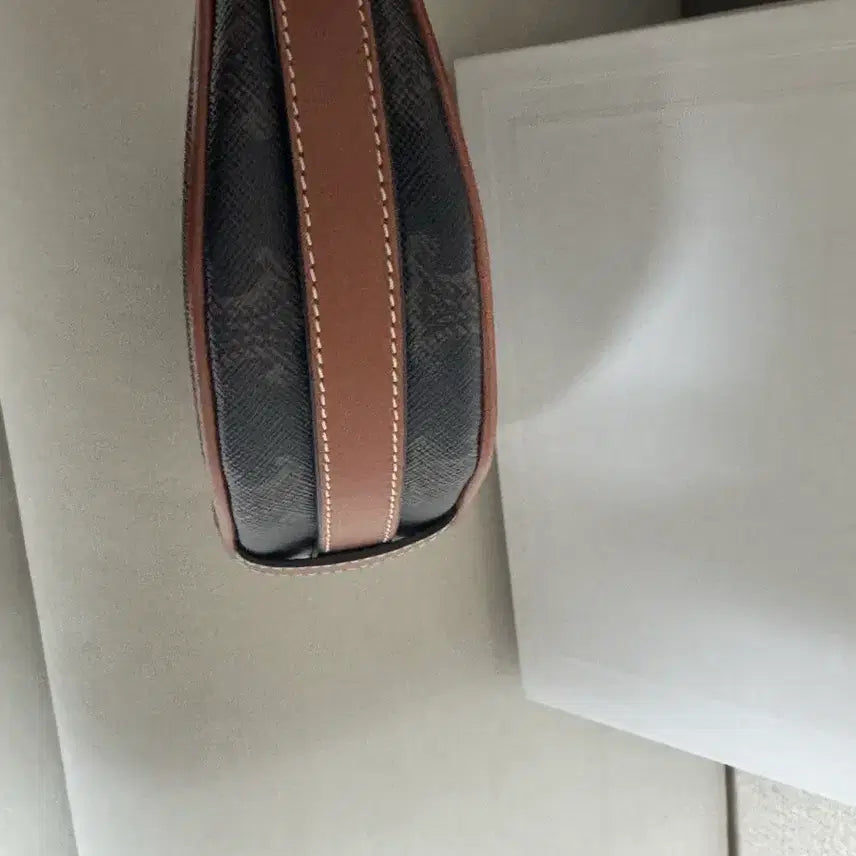 [BUNJANG] Celine Ava Small Hobo Bag / [정품]새상품급 셀린느 아바백 호보백 스몰