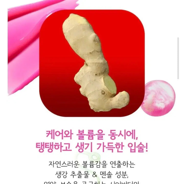 [BUNJANG] MAC Amplified Plumping Gloss Stick 13 / 맥 스쿼트 플럼핑 글로스스틱 13 앰프드