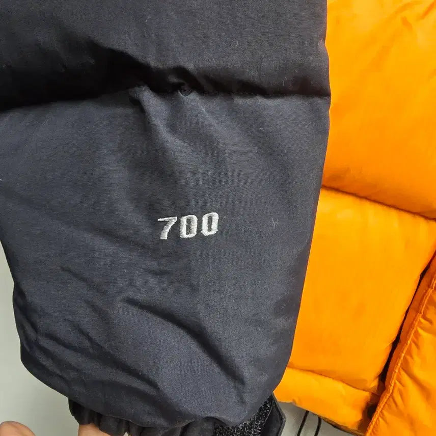 [BUNJANG] The North Face Summit Series 700 Goose Down Jacket L / 노스페이스 써밋시리즈  700 구스다운 패딩 L 공용