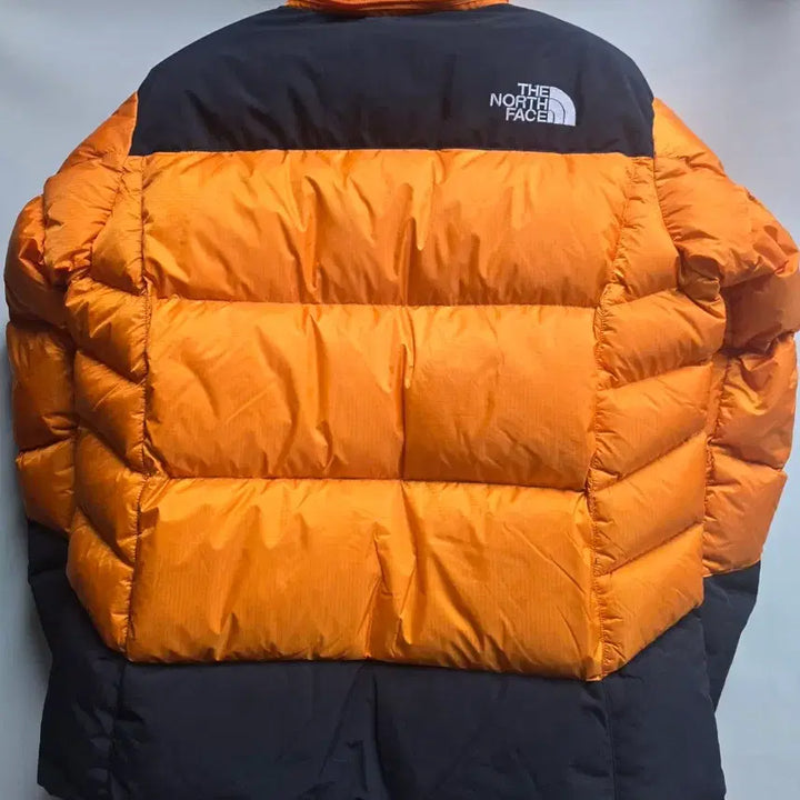 [BUNJANG] The North Face Summit Series 700 Goose Down Jacket L / 노스페이스 써밋시리즈  700 구스다운 패딩 L 공용