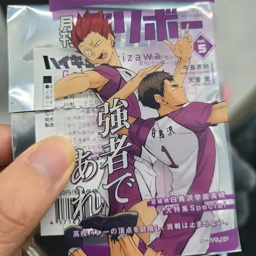 [BUNJANG] Haikyu!! Shiratorizawa Clear Card / 하이큐 월간 발리볼 월간 배구 클리어 카드 시라토리자와