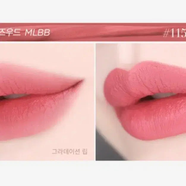 [BUNJANG] Armani 115 Ecstatic Matte Lipstick / 새상품 아르마니 립 파워 마뜨 115 에펙셔너트