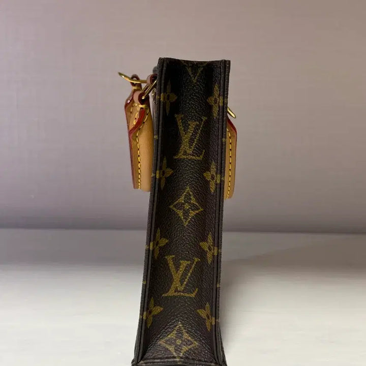 [BUNJANG] Louis Vuitton Petit Sac Plat M69442 Handbag / [급매]루이비통 쁘띠삭플라 M69442 빠른처분
