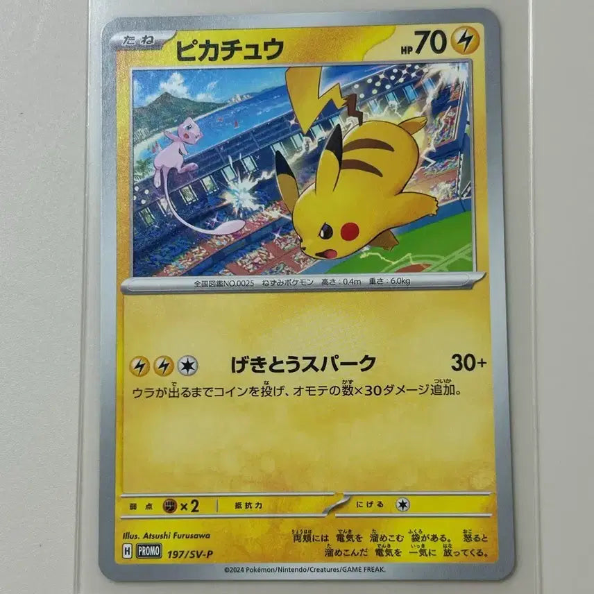[BUNJANG] Pokemon Japanese Pikachu Gym Promo Card / [포켓몬카드] 일판 피카츄 짐프로모