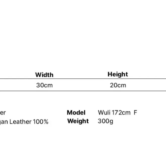 [BUNJANG] Le Sserafim Zippered Shoulder Bag Silver / 레더리 지퍼드 숄더백 실버