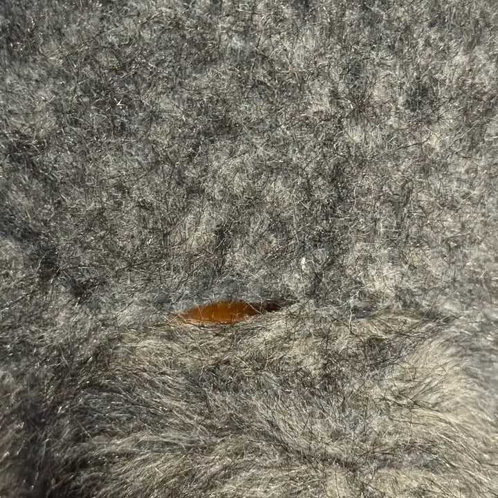 [BUNJANG] Studio Ghibli Totoro Plush Set / 지브리 고전 콧구멍 토토로 대중소 인형 세트