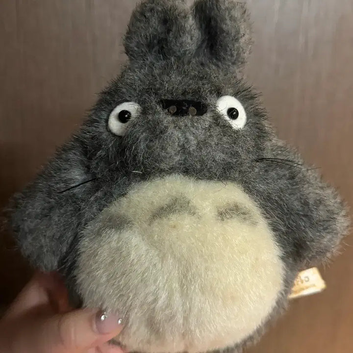 [BUNJANG] Studio Ghibli Totoro Plush Set / 지브리 고전 콧구멍 토토로 대중소 인형 세트