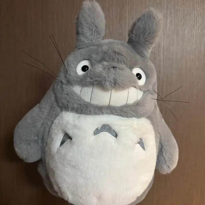 [BUNJANG] Studio Ghibli Totoro Plush Doll / 지브리 토토로 대토 인형