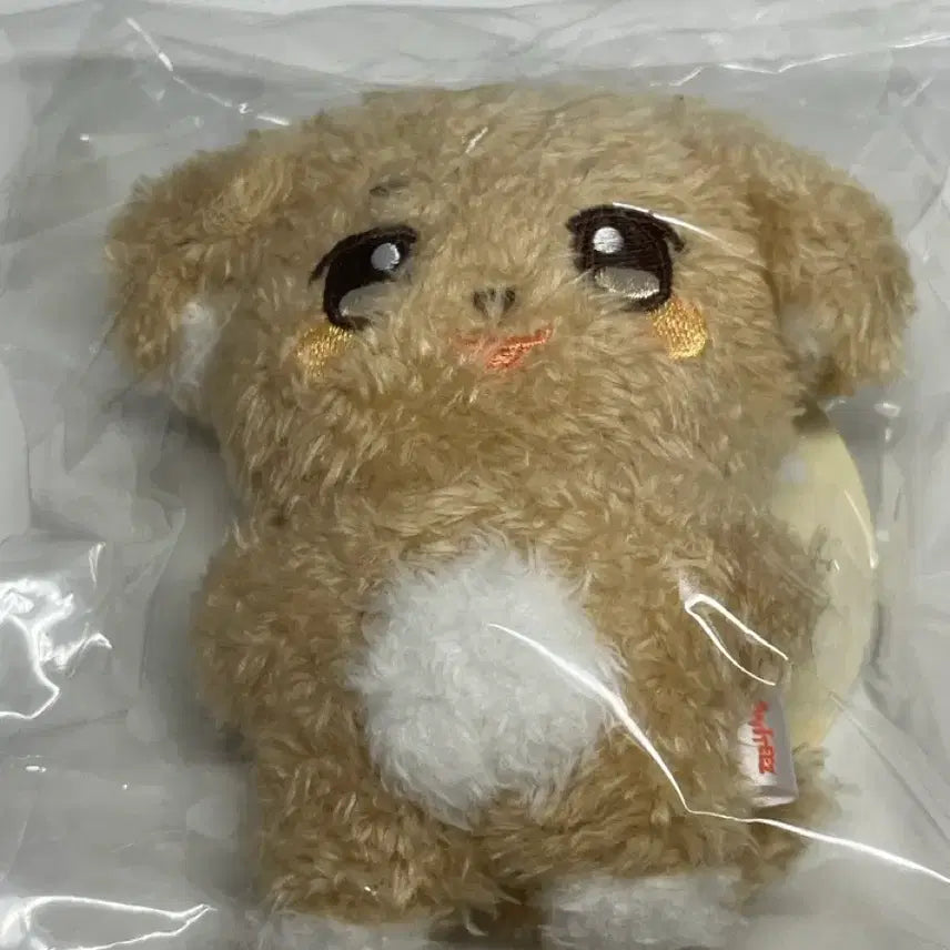 에이티즈 애니티즈 튜덩이