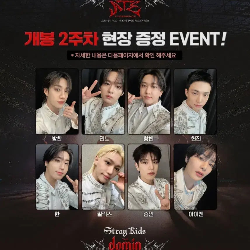 스트레이키즈 더 도미네이트 포토카드8장일괄