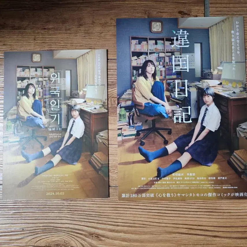 [BUNJANG] A Foreign Diary Pamphlet A4 Holder / 위국일기 전단지 오리지널 팜플렛 A4홀더