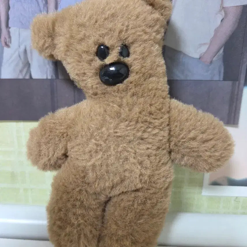 [BUNJANG] Plush Doll / 곰인형