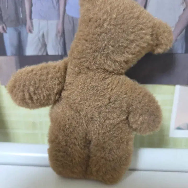 [BUNJANG] Plush Doll / 곰인형