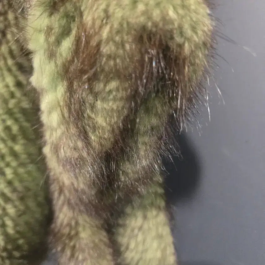 [BUNJANG] Mink Green Shawl Muffler / 밍크  그린  숄 머플러