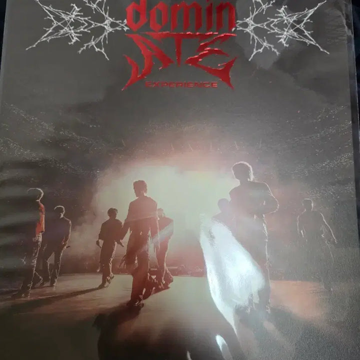 [BUNJANG] Stray Kids CGV 2D Poster + Photocard Set / 스트레이키즈 cgv 2D 포스터 + 포카 세트