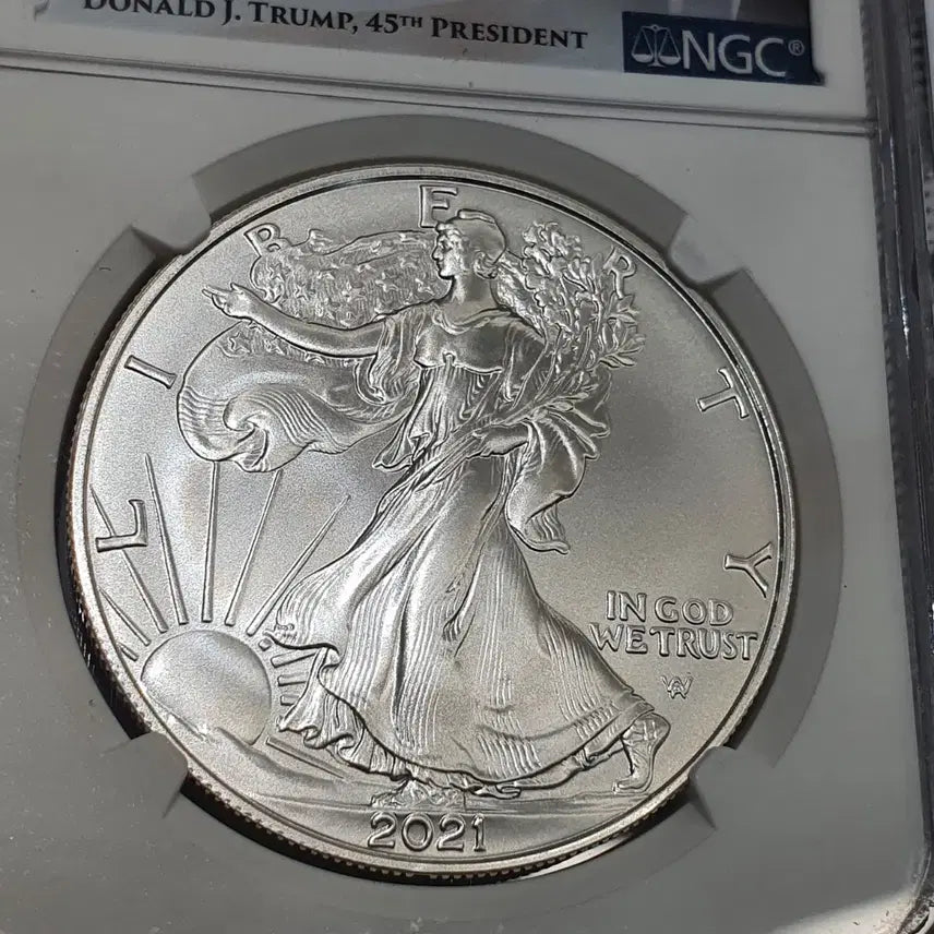 [BUNJANG] American Silver Eagle 2021 Silver Dollar NGC MS70 / 미국 1온스 은화 2021 실버 이글 NGC 70 실버바 은 달러