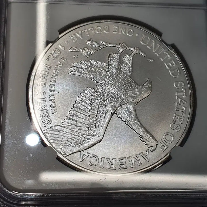 [BUNJANG] American Silver Eagle 2021 Silver Dollar NGC MS70 / 미국 1온스 은화 2021 실버 이글 NGC 70 실버바 은 달러