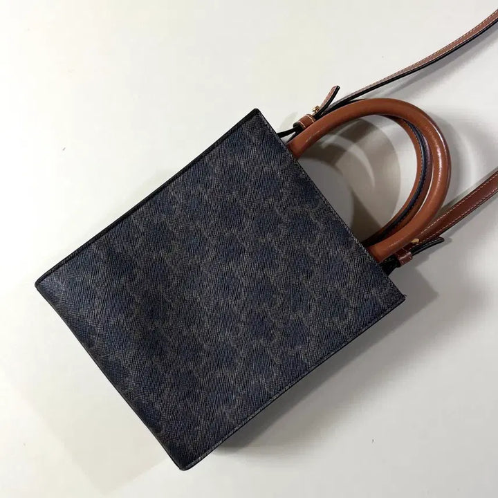 [BUNJANG] Celine Triomphe Mini Cabas Bag / [백화점판/당일출고]셀린느 트리오페 미니 카바스백 / 크로스백