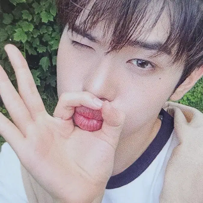 제로베이스원 김태래 시네마 파라다이스 공방포카