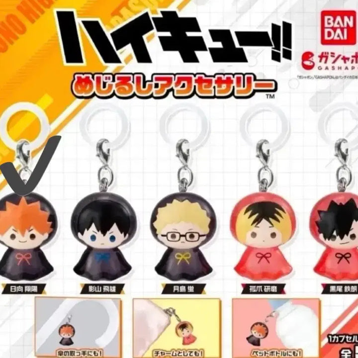 [SOLD OUT] 하이큐 히나타 메지루시