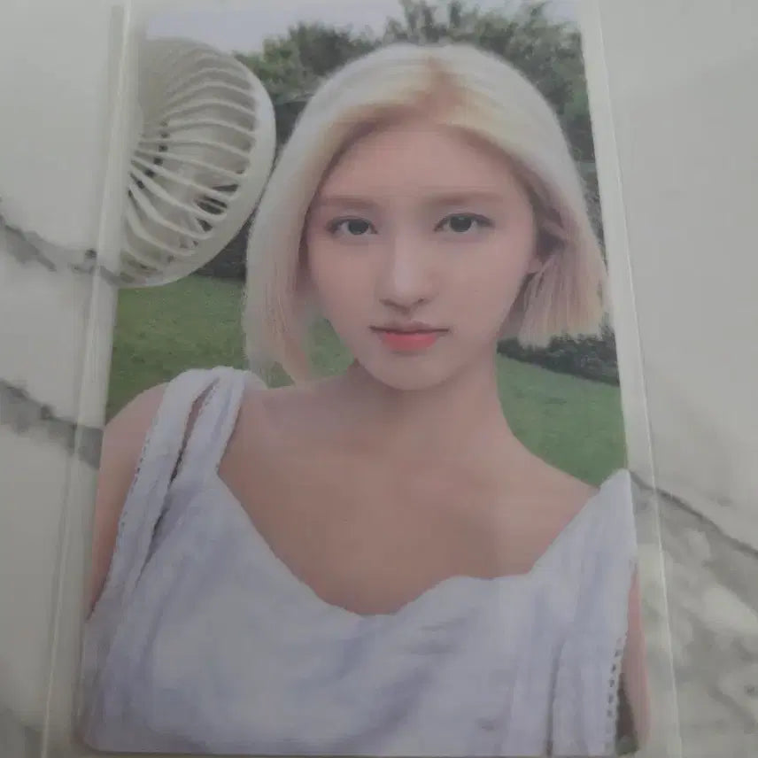 아이브 엪라 사웨 럭드 가을