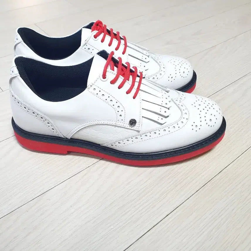 [BUNJANG] Aves Classic Golf Shoes / 여240아베스클래식골프화