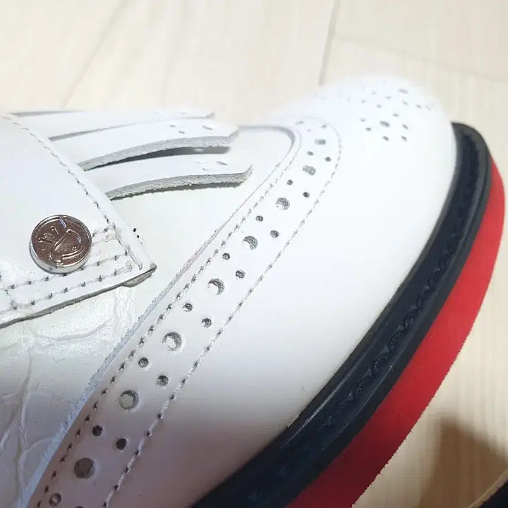 [BUNJANG] Aves Classic Golf Shoes / 여240아베스클래식골프화