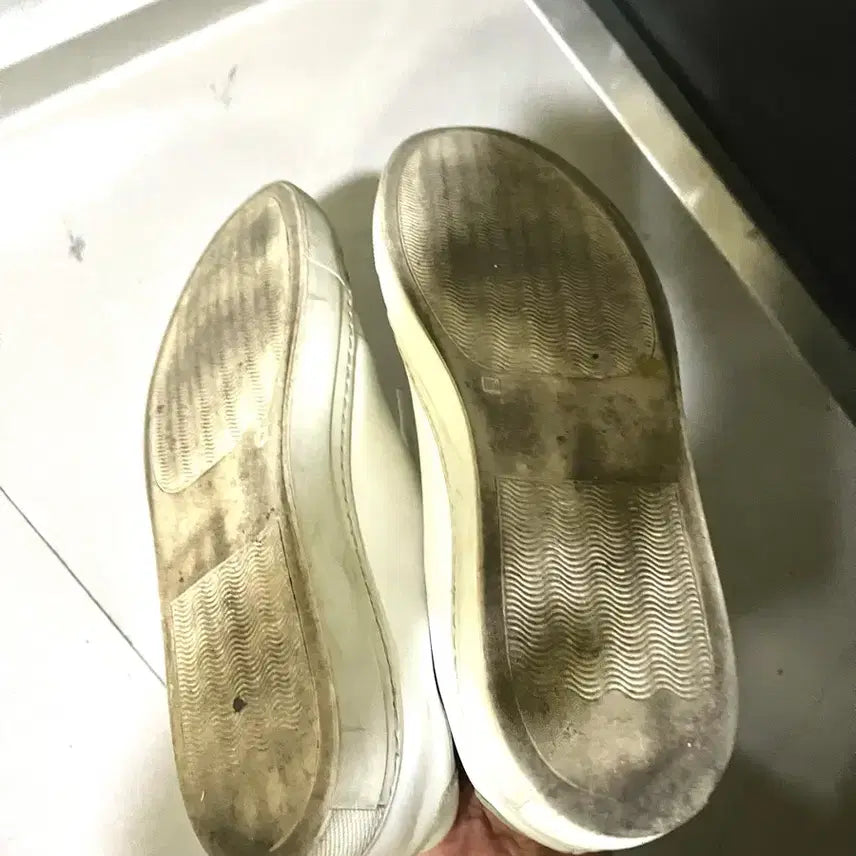 [BUNJANG] Common Projects Achilles Low White Sneakers / 커먼프로젝트 아킬레스 로우 화이트 스니커즈 40사이즈