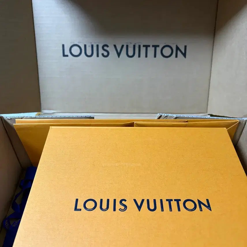 [BUNJANG] Louis Vuitton Alma BB Handbag / 알마비비