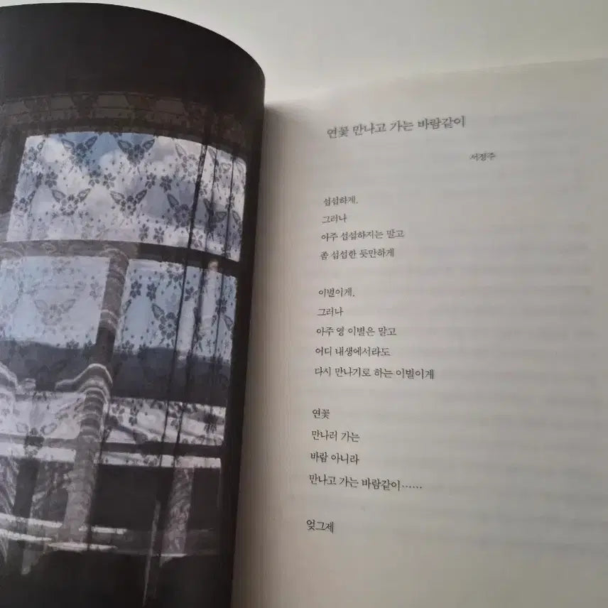 [BUNJANG] Essay Collection / 상처가 꽃이 되는 순서/에세이