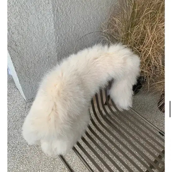 [BUNJANG] Mellowbee Real Knitting Fox Fur Jacket (Vanilla) / 멜로우비 리얼 니팅폭스퍼자켓 바닐라컬러 새제품