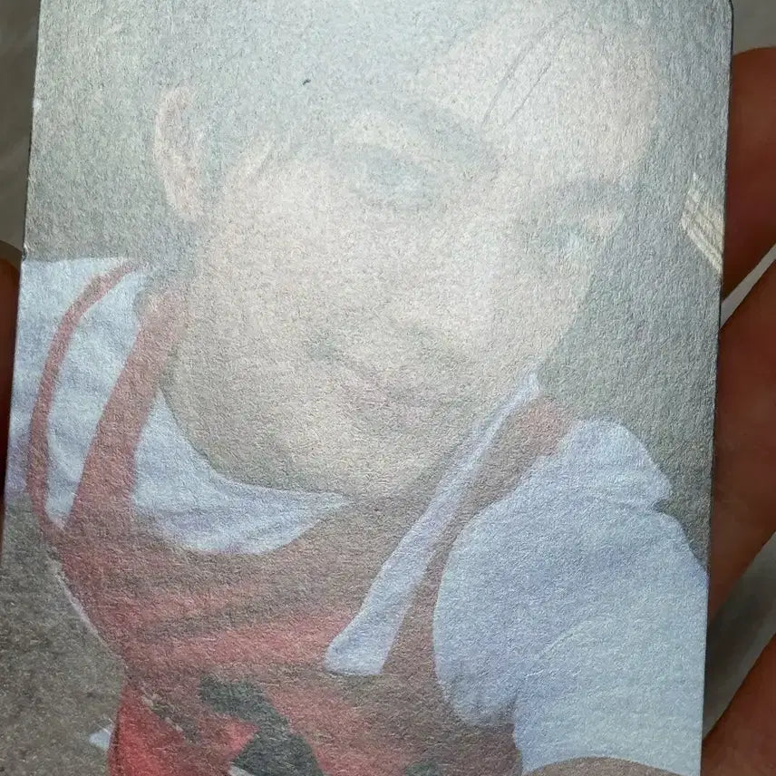 코르티스 건호 포카 양도해요