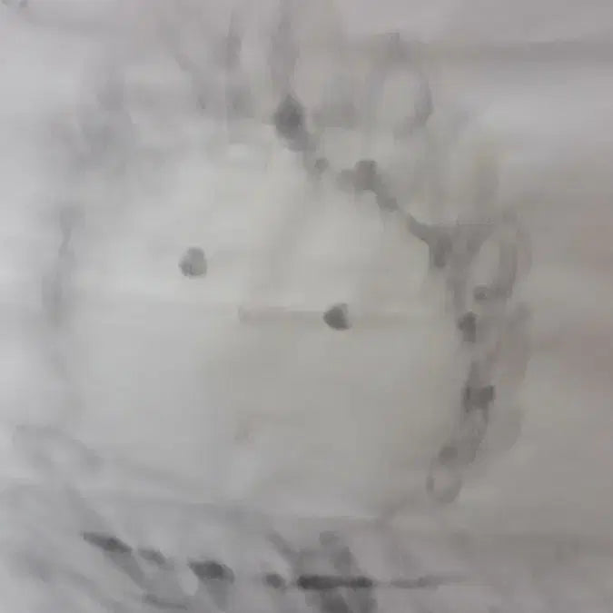 [BUNJANG] Joonggwang (Monk Golae) Ink Painting / 중광(걸레스님)그림