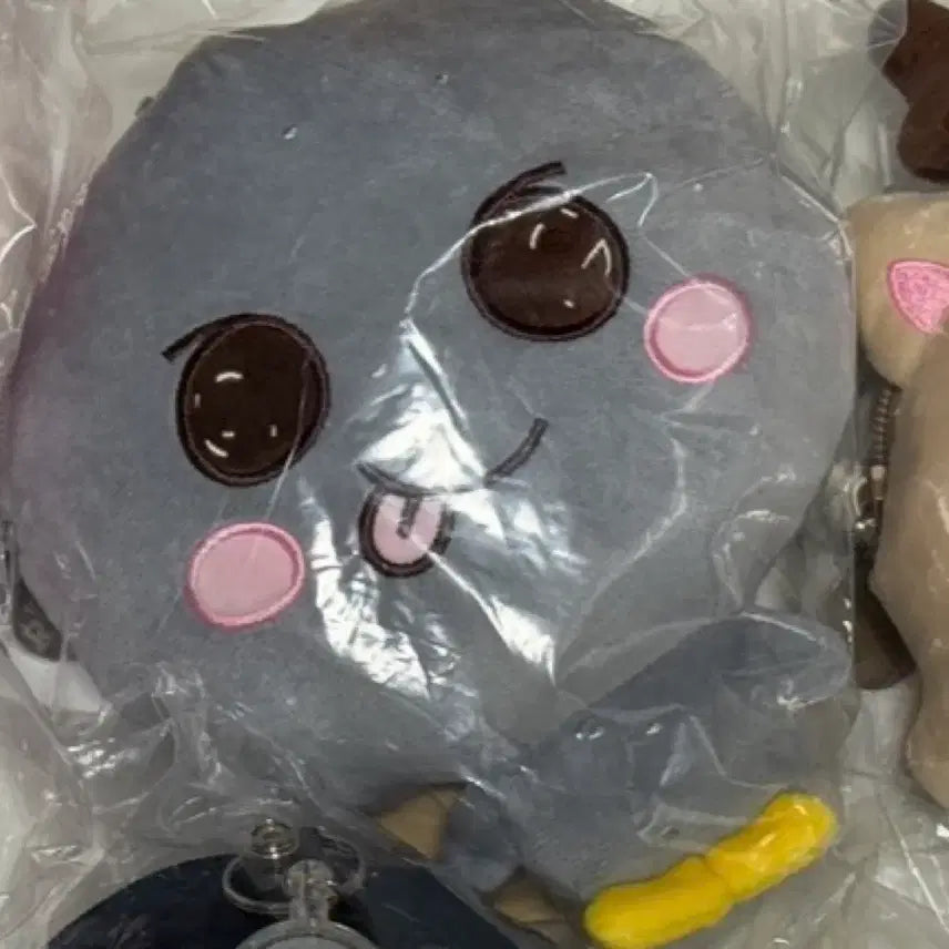 [BUNJANG] BOYNEXTDOOR Eunsang Coin Purse / 보스라이즈 송용돌이 동전지갑 은석