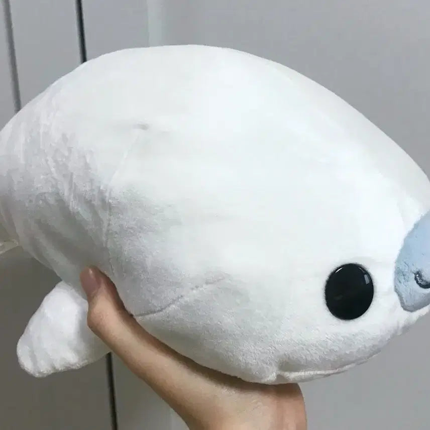 [BUNJANG] San-X Shirogoma Plush Doll / 고전 30cm 대형 단추눈 마메고마 시로고마 인형/택포