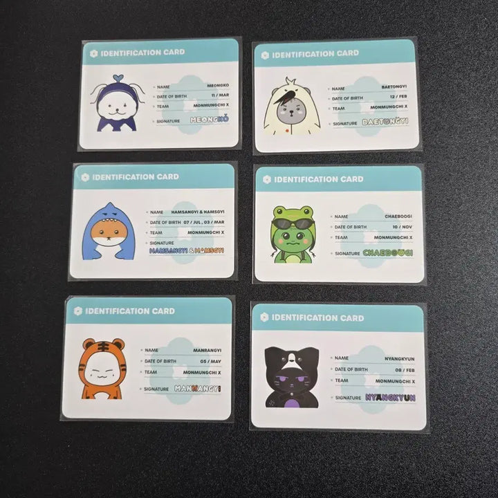 [BUNJANG] Monsta X ID Card Photocard Bundle Set / 몬뭉치엑스 아이디카드 포카 6장 일괄