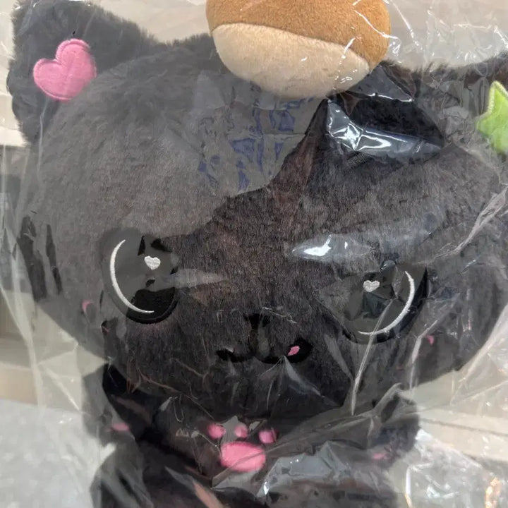 [BUNJANG] NCT WISH Kuri Riku 30cm Wish Doll / 엔시티위시 위시 베이커리 팝업 30cm 위시돌 대왕위시돌 쿠리 리쿠